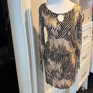 Zebra Patterned Mini Dress